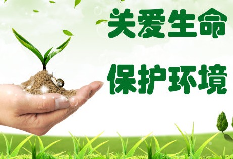 東莞環評報告表辦理東莞環評價格東莞環評費用
